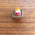 専用ページ✩.*˚