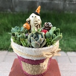 ★送料無料★♡そのまま飾れる♡リメ鉢♬ハロウィンの多肉植物寄せ植え╰(*´︶`*)╯♡