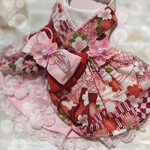 🌸 茜色のお着物 ハーネス 🌸