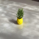 観葉植物B   パイナップル