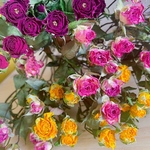 薔薇ドライフラワー　10輪　ガーランド　ハーバリウム花材　花材　ドライフラワー花材