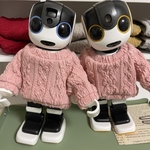 Ａ　せーたーかーで(ピーチ🍑)