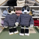 12 せーたーかーで(チャコール)