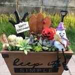 ★送料無料★♡そのまま飾れる♡ハロウィンの多肉植物寄せ植え╰(*´︶`*)╯♡