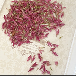 形可愛いエリカドライフラワーパーツ販売❣️ハンドメイド花材ドライフラワー