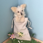 ※マニーさまオーダー　ヨークシャテリアのおでかけちゃんミニ