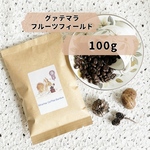 グァテマラフルーツフィールド 100g