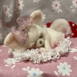 羊毛フェルト　ねむねむチワワちゃん