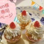 オーダー　12点