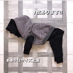 イタグレ　イタグレの服　イタグレ服
