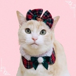 送料無料☆彡クリスマスチェックとレースの可愛い丸襟〜猫の首輪