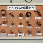 どんぐりの仲間たち（１５種類）