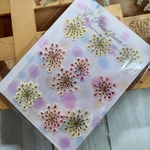 押し花 208　レースフラワー　グラデーション