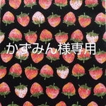 かずみん様専用