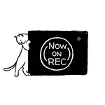 ドライブレコーダー＊ステッカーシール＊マグネット＊ねこ