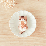 ほかほかのたい焼き🥮を持つ猫ちゃんブローチ