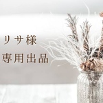 リサ様専用