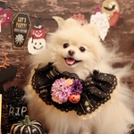 ゴージャスハロウィン🖤ボリューミーアレンジメントケープチョーカー🎃