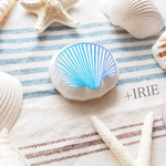 リアルシェルはんこ