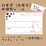 複数購入で割引☆白柴犬（お座り）の宛名シール50枚！差出人印字無料