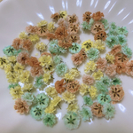 オレンジ×ミントグリーン系 かすみ草ドライフラワー100粒