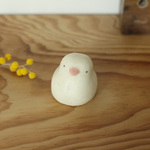 ＊春限定＊シロマル 桜（マット）374