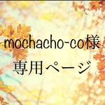 mochacho-co様専用ページ④