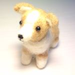 うちのコーギー☆