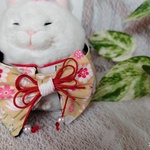七五三祝に愛猫ちゃんの首輪(黄色鶴柄🎀)
