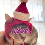 サンタ.クリスマス.12月.ニット帽.猫.被り物.コスプレ.毛糸