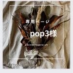 【pop3様専用ページ】