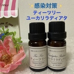 ティーツリー＆ユーカリ　高品質セラピーグレード精油