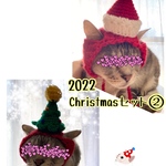 再販】クリスマスセット②サンタ.ツリー.12月.ニット帽.猫.被り物.コスプレ.毛糸