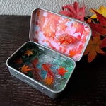 【10/8 21 時〜販売予定】 KINGYO CAN(金魚缶)★premium～紅葉2022(お写真のものをお届けします)