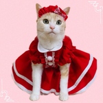 送料無料☆彡クリスマスワンピース風〜猫のワンピース