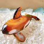 O40　宇宙を宿すガラスのシャチ［アンバー］