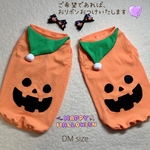 犬服！ハロウィン仮装 おばけかぼちゃ🎃 小型犬DMサイズ  (胴長) ⚠️首元にリボンや裾にレースをつけてお渡しすることも可能です‼️(追加料金なし) 完成品