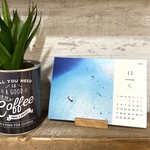 2023年 沖縄 卓上カレンダー