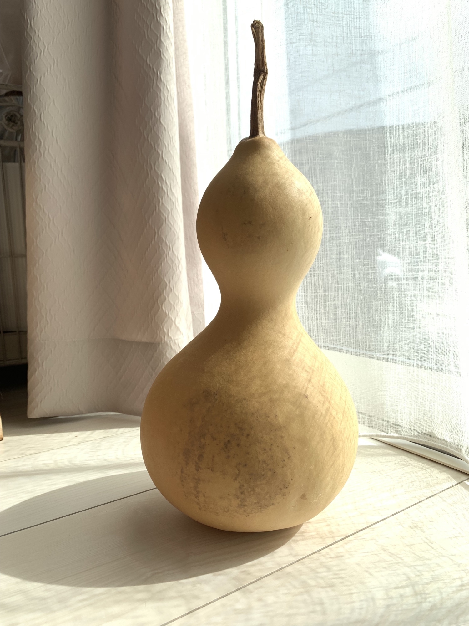 巨大！ひょうたん (瓢箪） ひょうたん（特大） - 4556HARU'S GALLERY | minne byGMOペパボ 国内