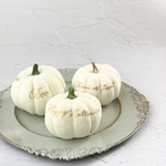 ホワイトパンプキン3つセット