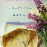 薄手夏用♪青色系コットン小花模様の可愛いハリネズミ寝袋