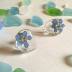 。。。思い出キラキラ。。。忘れな草とシーグラスポストピアス　クリア