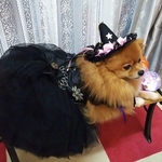 🎃魔女のドレス🎃