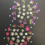 押し花  特別オーダー品 NO.206