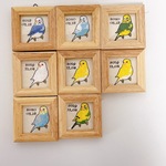【カラー追加】セキセイインコさんのお誕生日豆フレーム☆セミオーダー☆日付入れます
