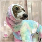 【ミニピン用ロンパース】とっても可愛い夢かわシリーズ🫶🏻可愛いを叶えるユニコーンロンパース🦄