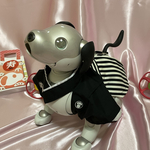黒紋付き袴