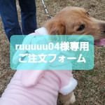 ruuuuu04様専用ご注文フォーム