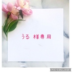 うる 様専用