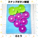 スナップボタン練習 ぶどう 水色